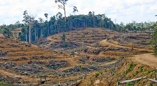 pengelolaan lingkungan hidup