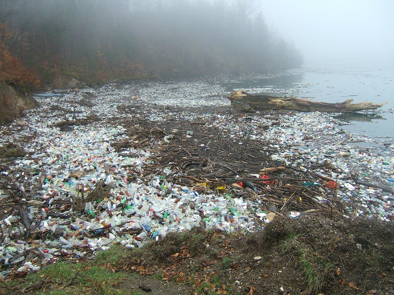 dampak sampah plastik