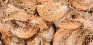 potensi sabut kelapa sebagai sumber daya 1