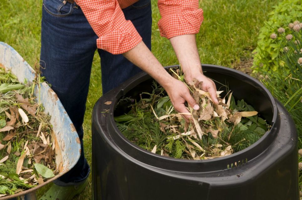 Penggunaan Daun Dalam Pembuatan Pupuk