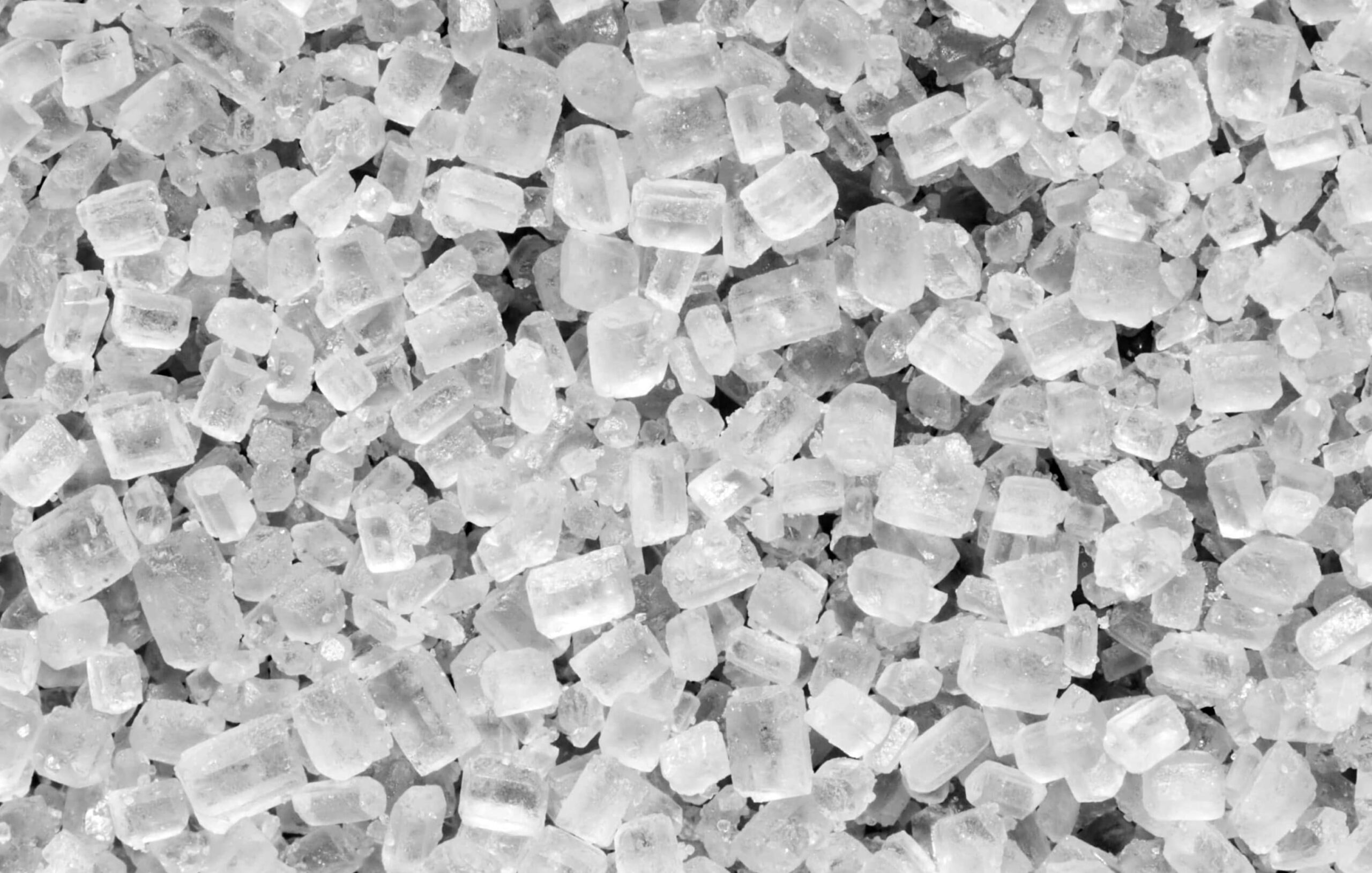 Bisnis Biji Plastik Bekas