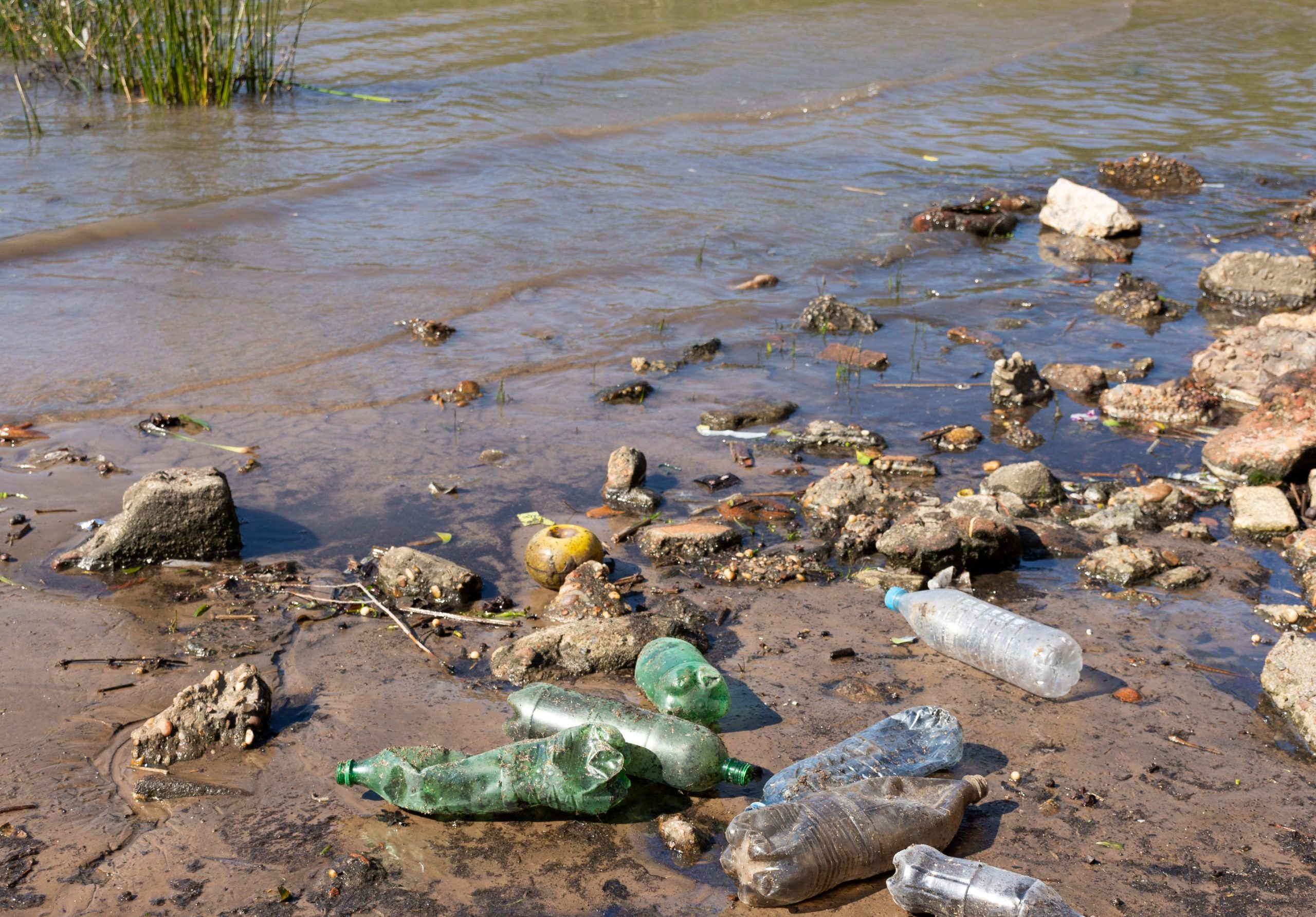 contoh sampah plastik rumah tangga
