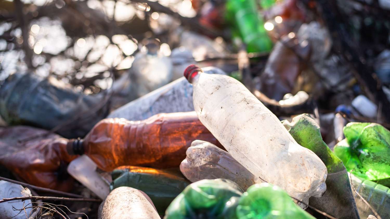 contoh sampah basah dan kering