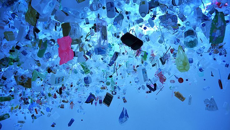 Keunggulan Dampak Sampah Plastik di Laut